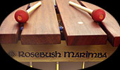 Hear Rosebush by Brett EE Paschal